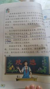 我的爸爸作文300字 作文假如我当了爸爸300字