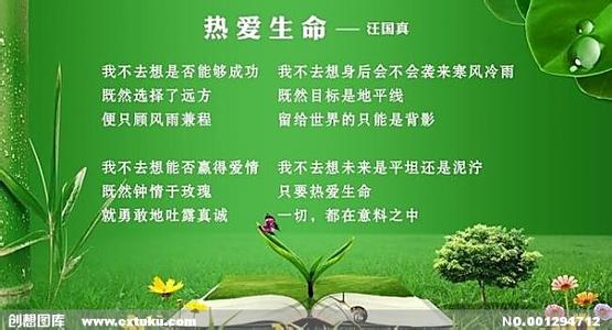 热爱 词汇  热爱 词汇 -释义，热爱 词汇 -例句