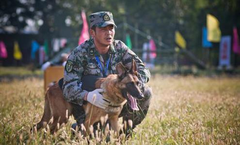 神犬奇兵 神犬奇兵-剧情梗概，神犬奇兵-演员表