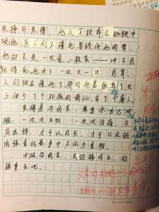 人与自我之类的作文 关于人与社会的作文