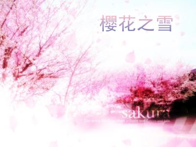 言情小说xinyuxs 樱花雪 樱花雪-小说，樱花雪-《樱花雪（言情）》