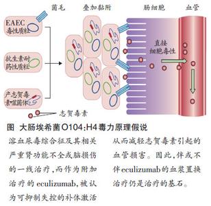 溶血尿毒综合征 溶血尿毒综合征 溶血尿毒综合征-流行病学，溶血尿毒综合征-病因