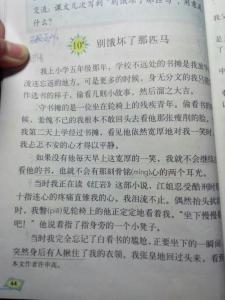 别饿坏了那匹马 课文 别饿坏了那匹马 别饿坏了那匹马-课文全文，别饿坏了那匹马-全文