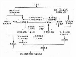 创伤性应激反应表现 创伤后应激反应