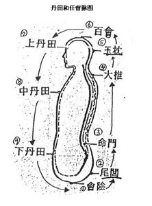 创新的基本概念 丹田 丹田-基本简介，丹田-词语概念