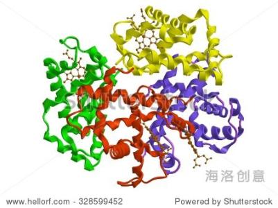 氧气分子结构 氧气 氧气-研究简史，氧气-分子结构