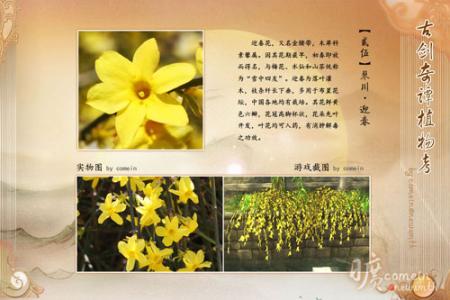 花之泪 （陈宣章小说集《花之泪》第十三篇）龙爪花