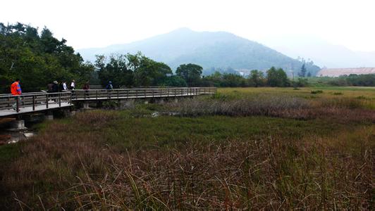 坝光村 坝光村-简介，坝光村-经济环境