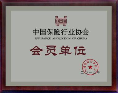 中国保险行业协会 中国保险行业协会-简介，中国保险行业协会-基