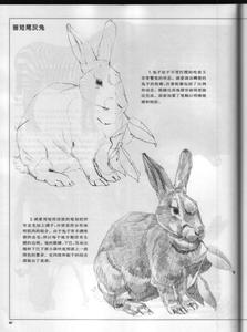 铅笔画教程 铅笔画技法