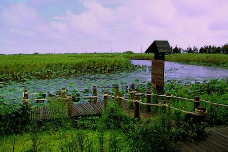 东滩湿地公园 东滩湿地公园-概述，东滩湿地公园-游览项目