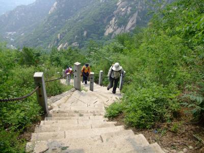 凤凰岭自然风景区 凤凰岭自然风景区-概述，凤凰岭自然风景区-景