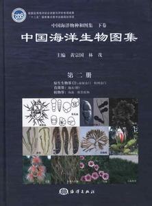 放射虫 中国近海的放射虫 中国近海的放射虫-内容介绍，中国近海的放射虫