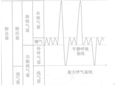 功能残气量 功能残气量 功能残气量-功能残气量，功能残气量-注