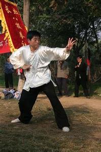 八极拳 八极拳-拳种介绍，八极拳-套路招式