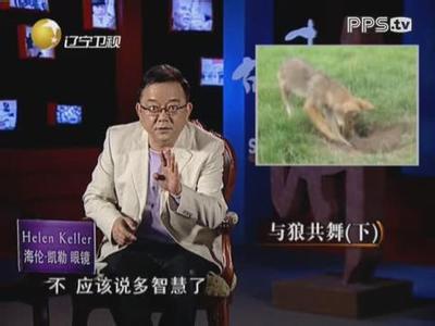 《王刚讲故事》 《王刚讲故事》-栏目资料，《王刚讲故事》-周末