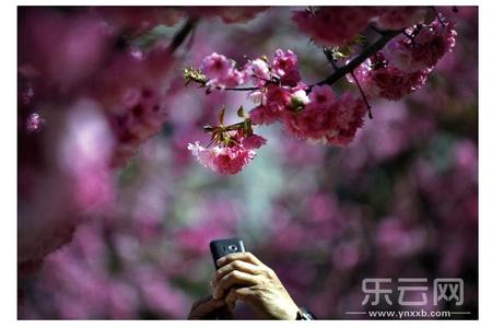 小米手环2代功能简介 花枝 花枝-简介，花枝-功能