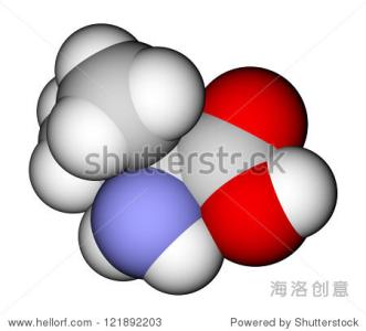 画三维分子结构的软件 分子模型 分子模型-三维分子模型