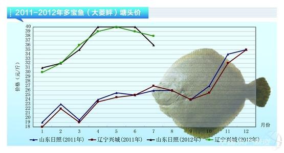 柳树的资料和外形特征 多宝鱼 多宝鱼-基本资料，多宝鱼-外形特征