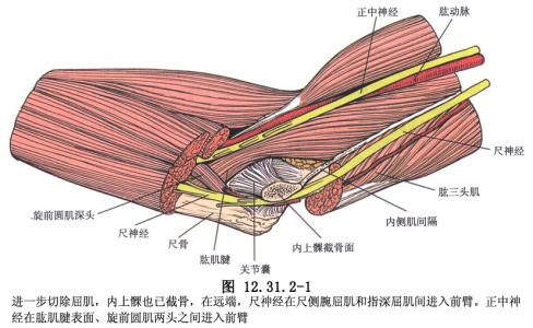 拇外翻病因 肘外翻 肘外翻-发病机理，肘外翻-病因病理