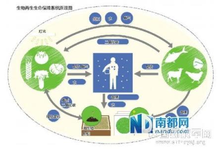 月宫一号 月宫一号-简介，月宫一号-研发历程