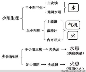 亚临床甲减的病因 少阳病 少阳病-病因，少阳病-临床表现