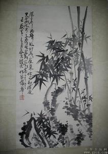 汤丹松 简介职业经历 蒲华 蒲华-人物简介，蒲华-人物经历