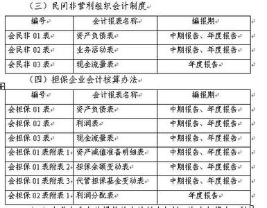 会计报表附注 会计报表附注-内容，会计报表附注-编制形式