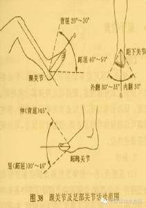 康复治疗师 怎样诱发足背屈康复治疗？？