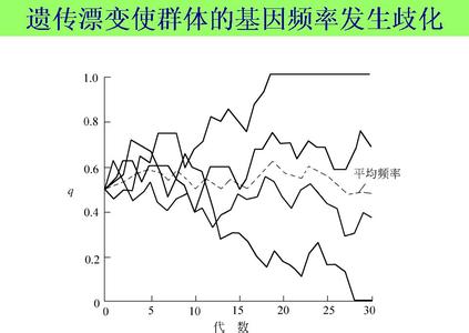 遗传漂变 遗传漂变 遗传漂变-简介，遗传漂变-基本内容