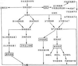 羊水过少 羊水过少-病因，羊水过少-病因病理