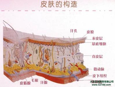 复合木地板的优缺点 复合彩光 复合彩光-复合彩光简介，复合彩光-复合彩光的优点