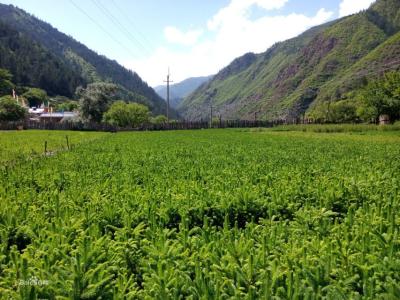 建昌县 建昌县-自然地理，建昌县-自然资源