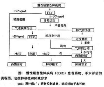 肺气肿 肺气肿-基本简介，肺气肿-病因