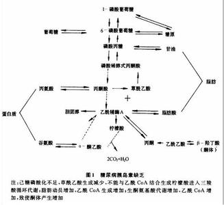 代谢性酸中毒 代谢性酸中毒-概述，代谢性酸中毒-病因