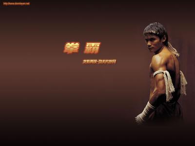 tony jaa Tony Jaa TonyJaa-简介，TonyJaa-英文资料