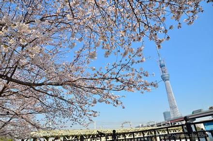 东京食尸鬼剧情概要 东京天空树 东京天空树-概要，东京天空树-命名来历