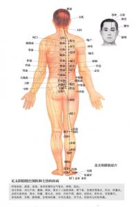 经穴 经穴-经穴，经穴-正文