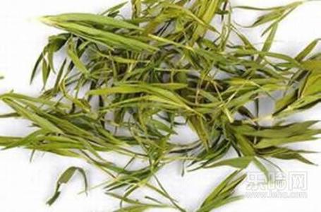 竹叶茶用什么竹子 竹叶茶 竹叶茶-简介，竹叶茶-竹子种类