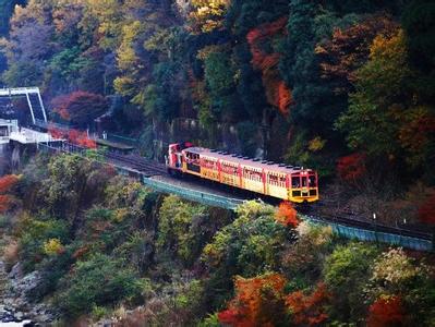 军衔主导制详细解释 嵯峨 嵯峨-基本解释，嵯峨-详细解释