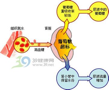 糖尿病治疗用药 一型糖尿病 一型糖尿病-症状体征，一型糖尿病-用药治疗