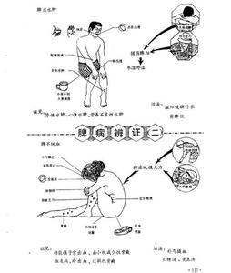 亚临床甲减饮食 便溏 便溏-中医饮食方，便溏-临床表现