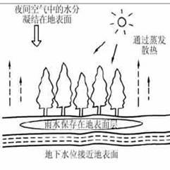 光电效应的特征有哪些 城市热岛效应 城市热岛效应-形成因素，城市热岛效应-基本特征