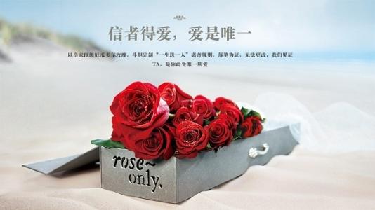 roseonly专爱花店 roseonly花店 roseonly花店-简介，roseonly花店-创始人简介