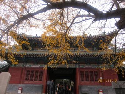 少林寺院 少林寺院 少林寺院-少林寺院简介，少林寺院-寺院建筑介绍