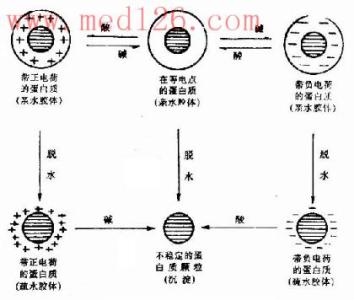 r290制冷剂的理化性质 BHA BHA-理化性质，BHA-制法