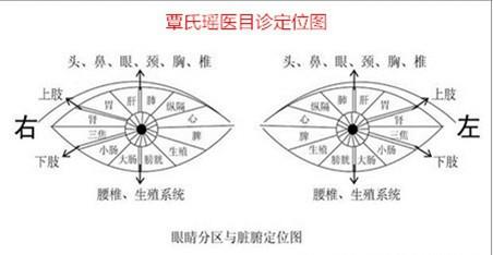 个人任职简历 覃迅云 覃迅云-个人简历，覃迅云-工作单位及任职