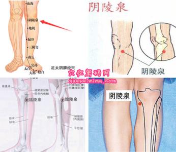 阴陵泉穴 阴陵泉穴 阴陵泉穴-基本资料，阴陵泉穴-名解