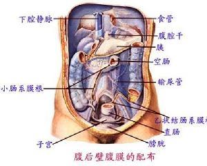 原发性腹膜炎 原发性腹膜癌 原发性腹膜癌-病因，原发性腹膜癌-临床表现