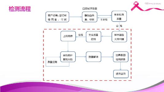 brca1基因检测 BRCA1基因 BRCA1基因-简介，BRCA1基因-基本结构与功能